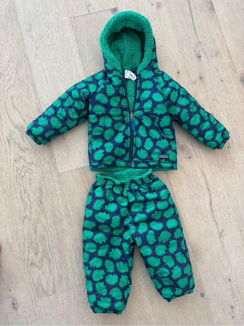Patagonia Green Patterned Hooded Puffer Jacket and Snow Pants Set